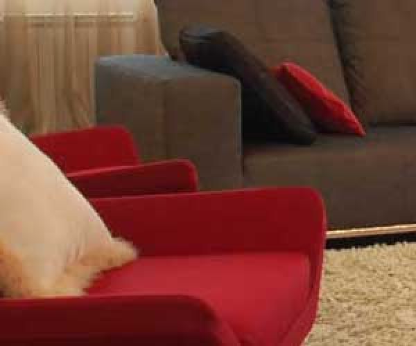 sofa cover dry cleaning